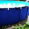 Collapsible Pvc Fish Tank Foldable Pvc Fish Rearing Pond Fish Pool Manufacturers