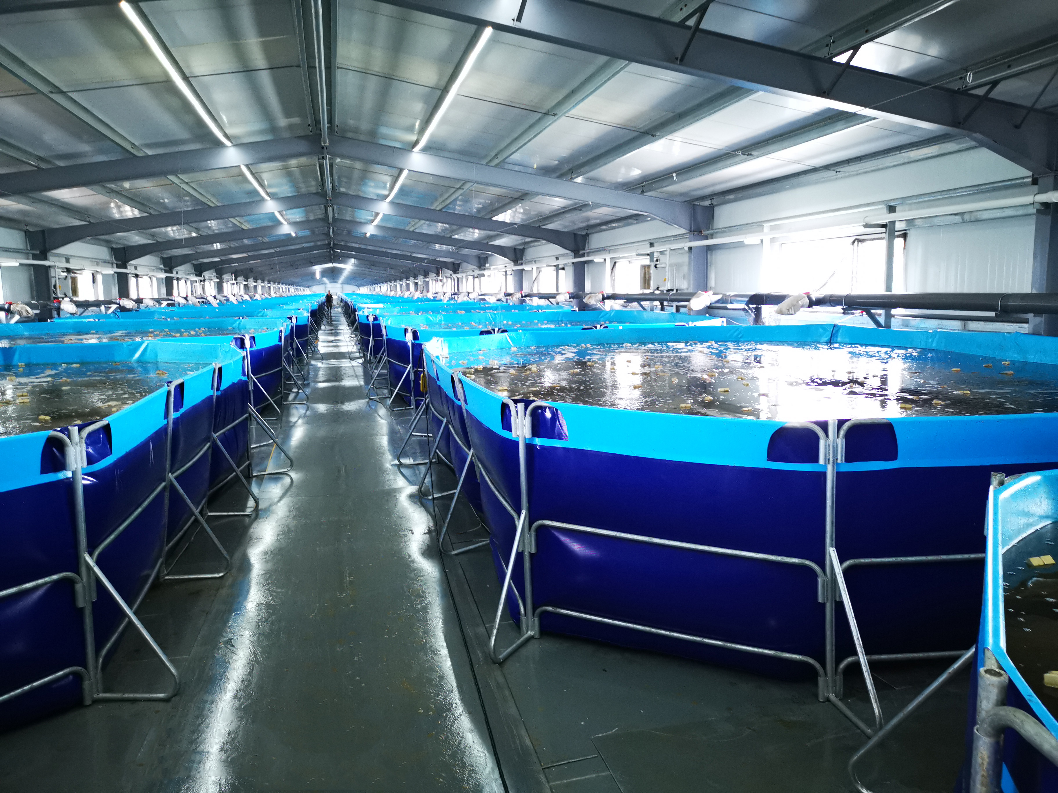 Cheap Pvc Tarpaulin Made Fish Tank Collapsible Fish Pond Raising Fish Pool 