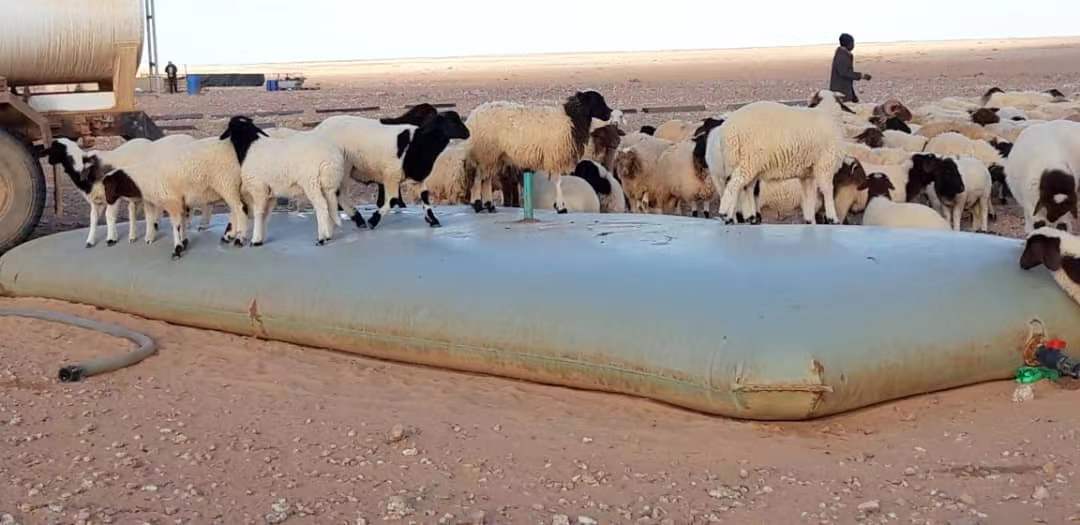 Cheap Folding PVC Cattle & Other Livestock Watering Tank Drinking Water Bag Made In China